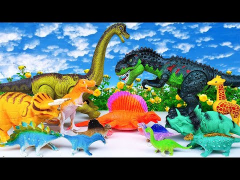 Hunting found Dinosaur fighting Jurassic world T-rex brachiosaurus velociraptor kong triceratops