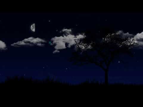 Kamilė Sokolova - Pusė Mėnulio