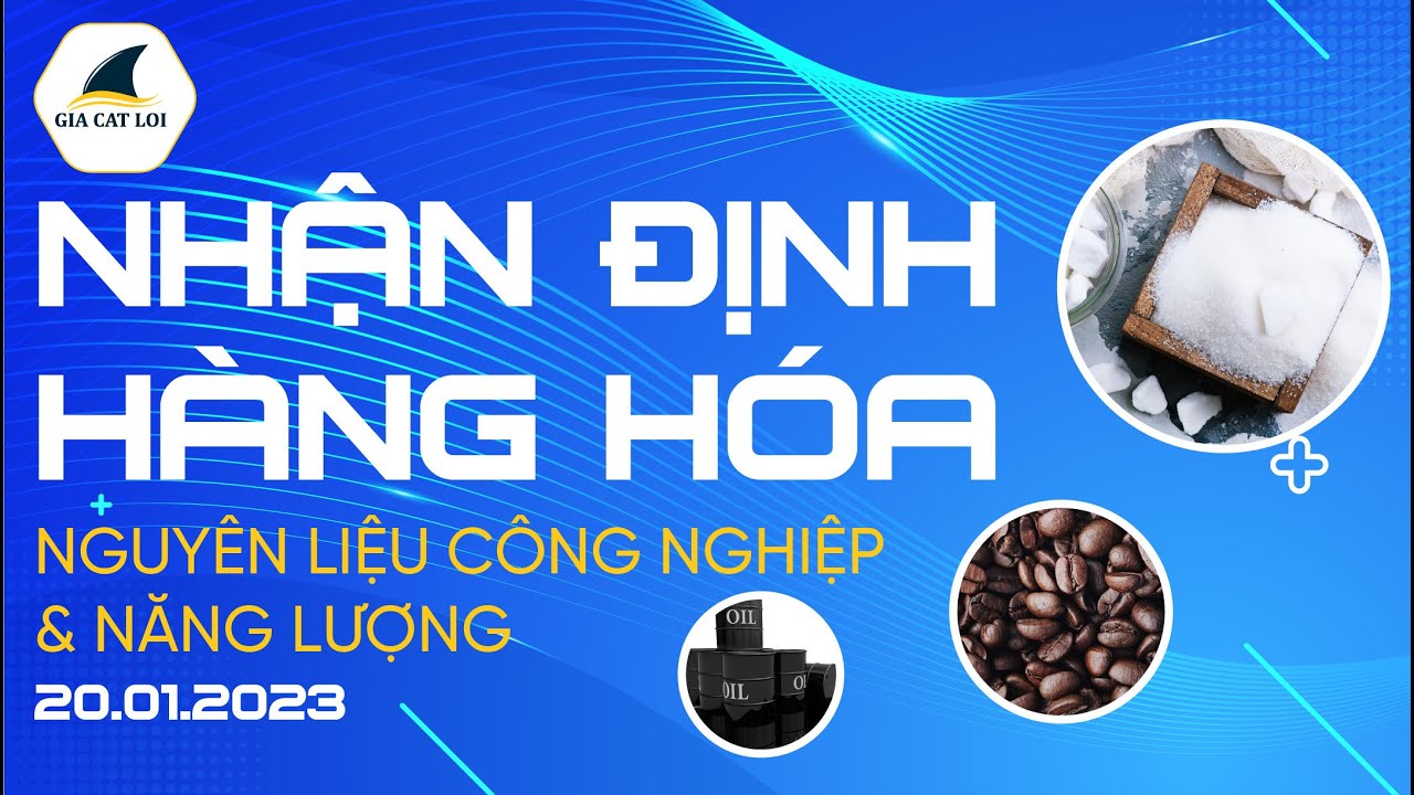 Nhận Định Thị Trường Năng Lượng & Nguyên Liệu Công Nghiệp Ngày 20/01/2023