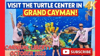 🐢 Cayman Turtle Centre | Grand Cayman Cruise Excursion Review 🌴