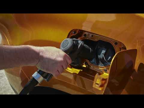 DACIA SANDERO STEPWAY | Besonderheiten LPG | Dacia Deutschland