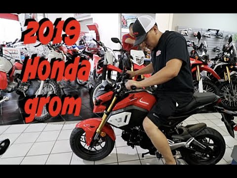 NEW TOY FOR THE CHANNEL / 2019 HONDA GROM