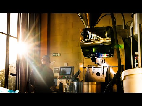 Rave Coffee Roasters