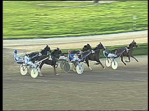 Trotto 03/04/2016 - 8° Corsa