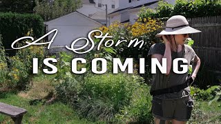 Preparing My Garden For Tropical Storm Henri | Garden Vlog