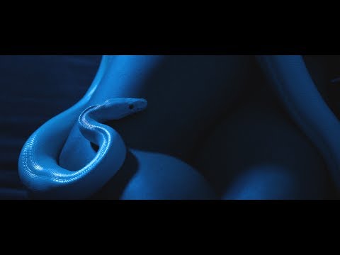 D.L. Blando - Déjame morir (prod. Judah)