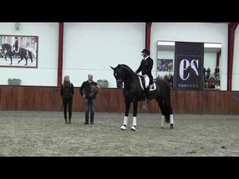 Sir Donnerhall II Helgstrand Dressage Stallion show 2014