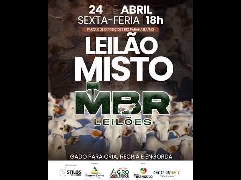 LEILÃO MISTO 24/04/2026 - MBR LEILÕES - RIO PARANAÍBA-MG