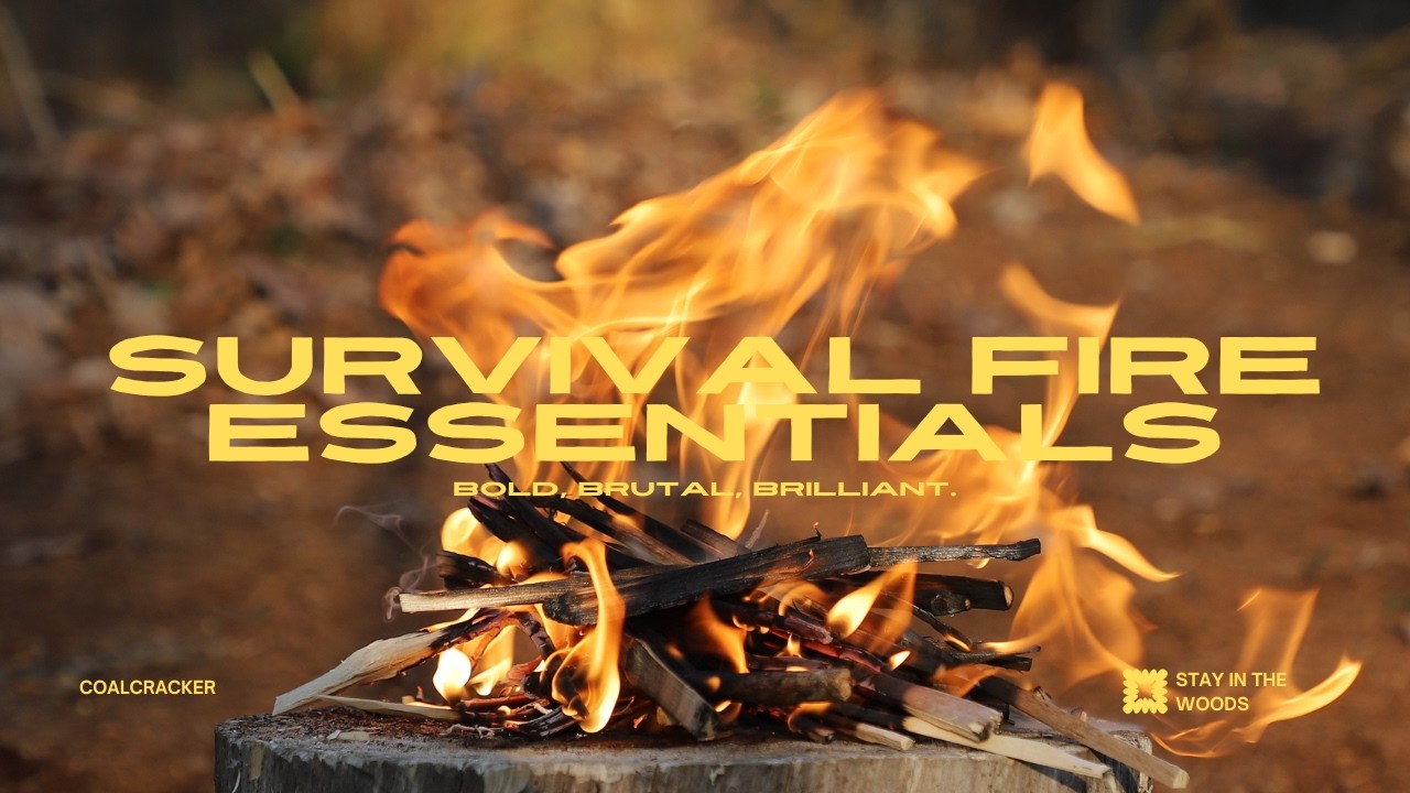 The Hidden Firestarter Inside Trees