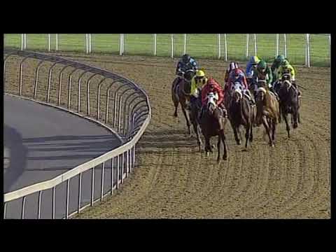 20190818 Greyville Express clip Race 6 won by DRUNKEN SAILOR