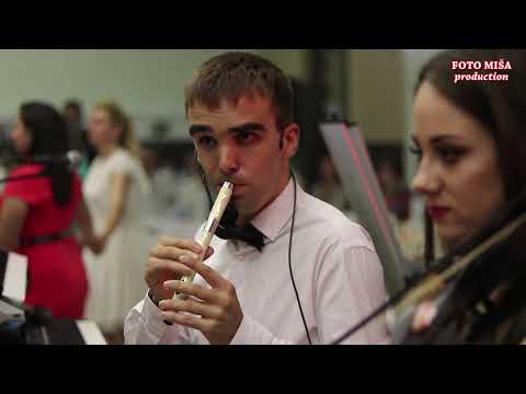 🎶HIT KOLA,HIT SOLISTI,HIT ORKESTAR & MOMA KRSTIĆ🎶(Nevena,Vlada & Miloš)