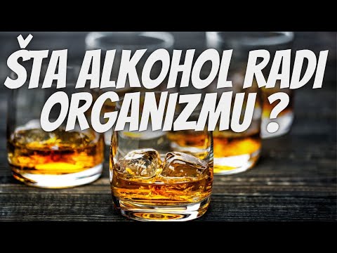 Šta Alkohol Čini Našem Organizmu?