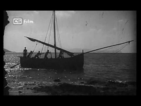 Dalmatino povišću pritrujena - Klapa Kumpanji