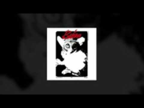 Klywoodjeb - Bebra но в шакальном качестве