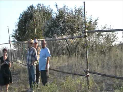 Noul tarc din Cardon 2