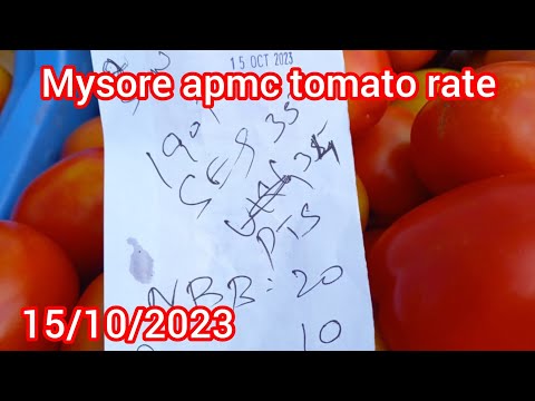 Mysore apmc tomato rate/15/10/2023