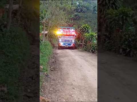 la bella chiva la piragua desde el municipio de Aguadas Caldas #campo #chivas