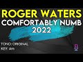 Roger Waters - Comfortably Numb 2022 - Karaoke Instrumental