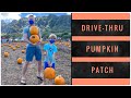 DRIVE THRU Pumpkin Patch