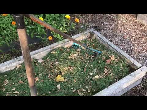 Dags att förbereda trädgården inför vintern