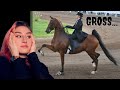 Why You Shouldn T Support Saddle Seat Riding
