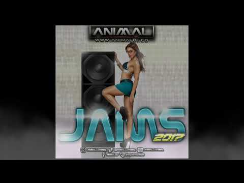 Jam 390 - Animal Dj (www.animaldj.co)