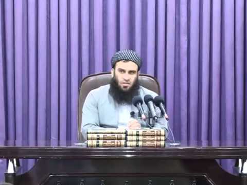 حوكمی باڵندە كردنە نیشان ویاری گا و كەڵەشێر بەشەڕدان و سەگ بەشەڕدان - ‏‏مامۆستا عەلی خان