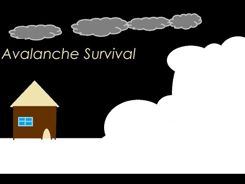 Avalanche Survival