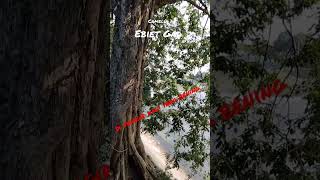 Download lagu Camelia 1 - Ebiet Gad #shorts#lagu #nostalgia #tembang #kenangan@Radiojaddoels mp3 Download lagu Camelia 1 - Ebiet Gad #shorts#lagu #nostalgia #tembang #kenangan@Radiojaddoels mp3