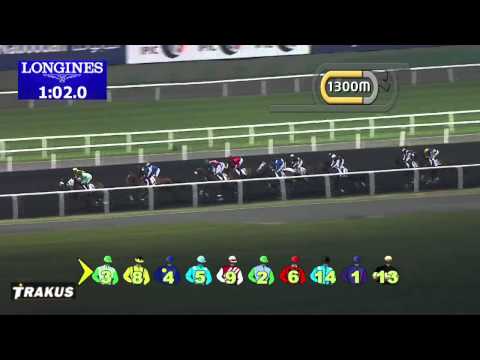 13.03.2014 Meydan (Dubai-UAE) 6.Race Nova Partnership Trophy - Handicap 2.200 m