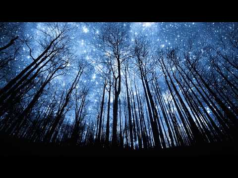 Spaceouters - There to Meet the Night