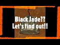 Washington Black Jade?  Let's find out!  Part 1  #thefinders