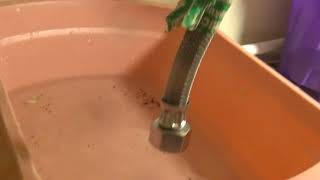 Remove sediments bathroom faucet