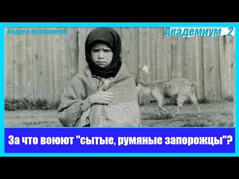 За что воюют «толстые, сытые, румяные запорожцы»? Академиум