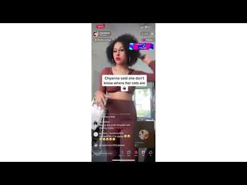 Chyanne tiktok cat - chyanne searching cats tiktok EXPLAINED