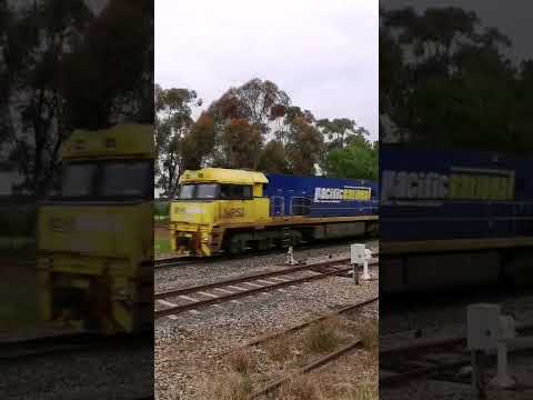 NR52 stretching its legs through Monarto heading for Melbourne