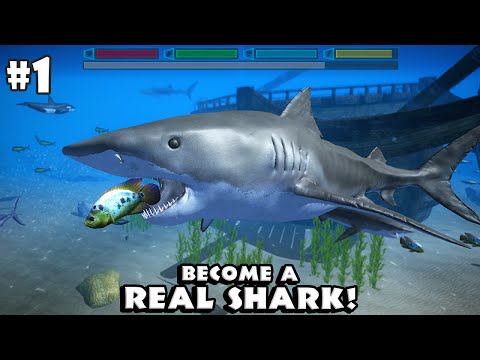 Ultimate Shark Simulator By Gluten Free Games - Android/iOS - Gameplay Part 1 - YouTube