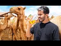 Tomé ORINES de CAMELLO 🐫 | Probando COMIDA CALLEJERA en SOMALILANDIA (3/4)