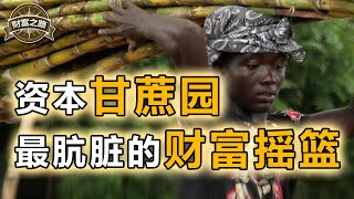 大航海时代最赚钱的生意，大三角贸易最黑暗的交易，欧洲人财富起点，蔗糖是怎样孕育出资本主义的？【财富之路6】下集