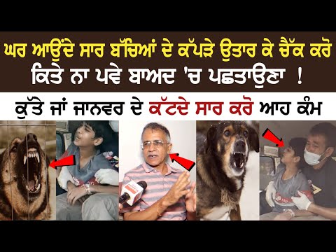 ਕੁੱਤੇ ਜਾਂ ਜਾਨਵਰ ਦੇ ਕੱਟਦੇ ਸਾਰ ਕਰੋ ਆਹ ਕੰਮ, ਘਰ ਆਉਂਦੇ ਸਾਰ ਬੱਚਿਆਂ ਦੇ ਕੱਪੜੇ ਉਤਾਰ ਕੇ ਚੈੱਕ ਕਰੋ