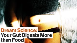 Your Gut Processes Emotion and Regulates Health While You Sleep | Dr. Emeran Mayer