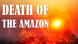 Is the Amazon Rainforest about to Collapse and Doom us All? @AllAboutClimate