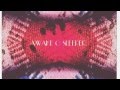 Awake O Sleeper by Warwick Runnels ( new ...