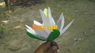 বিজয় ফুল-১