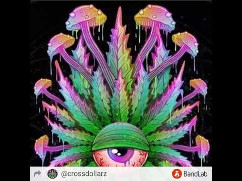 Crazy by CROSS DOLLARZ ft  808 cartel Dj Flip