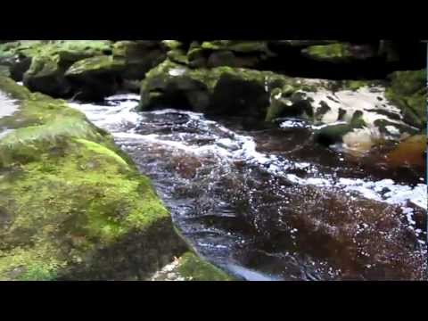 The Strid at Bolton Abbey