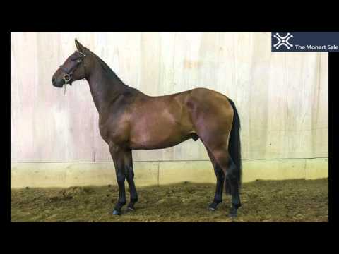 Lot 05 Monbeg Amalfi