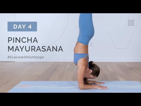 Deep Practice — Ashtanga Yoga Challenge Day 4 - Half of Primary Series, Hip Opening, and Headstand