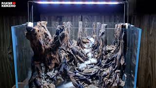 #341 Membuat hardscape jungle simpel ukuran 45cm
