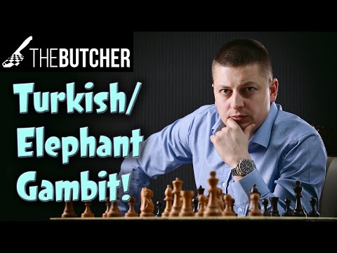 Turkish / Elephant Gambit - Enjoy as Black!!